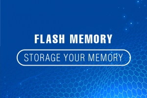 儲存媒體大集合Flash Memory - Storage Your Memory.