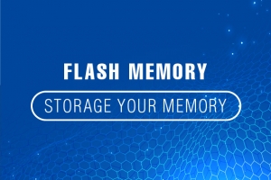 Flash Memory–Storage Your Memory